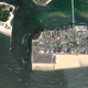 Illustration for article titled 5 Radical Ideas To Protect Coastal Cities From the Next Big Storm